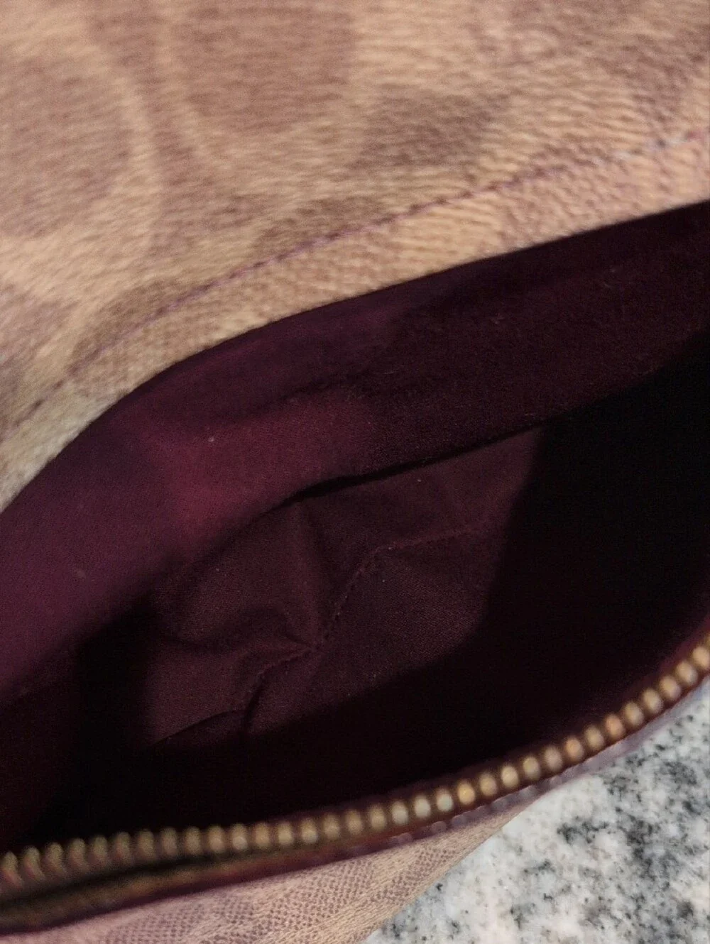 Coach Cary Signature Canvas And Leather Hobo Bag